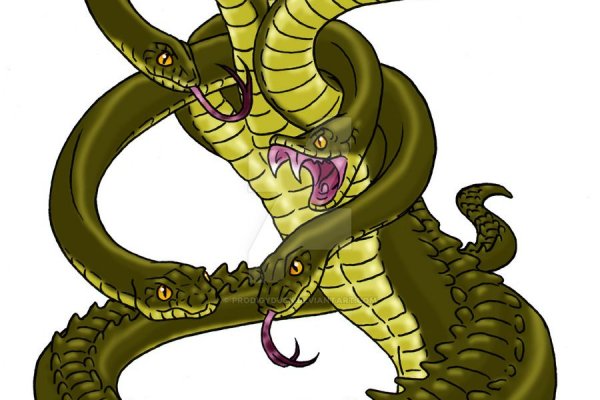 Kraken 6at