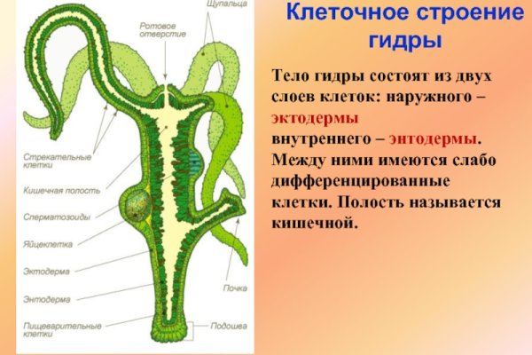 Кракен рабочее на сегодня сайт