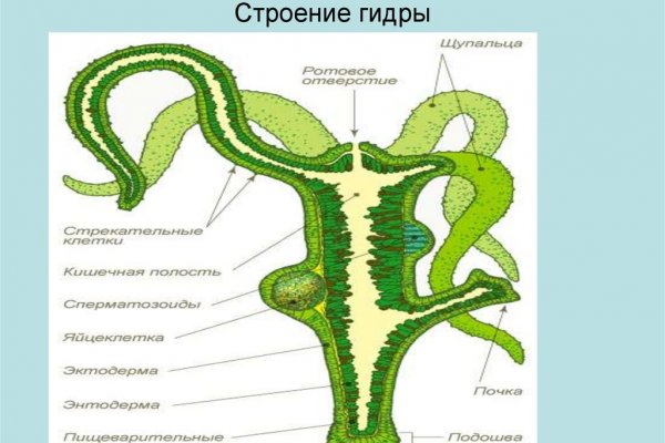 Кракен ссылка германия